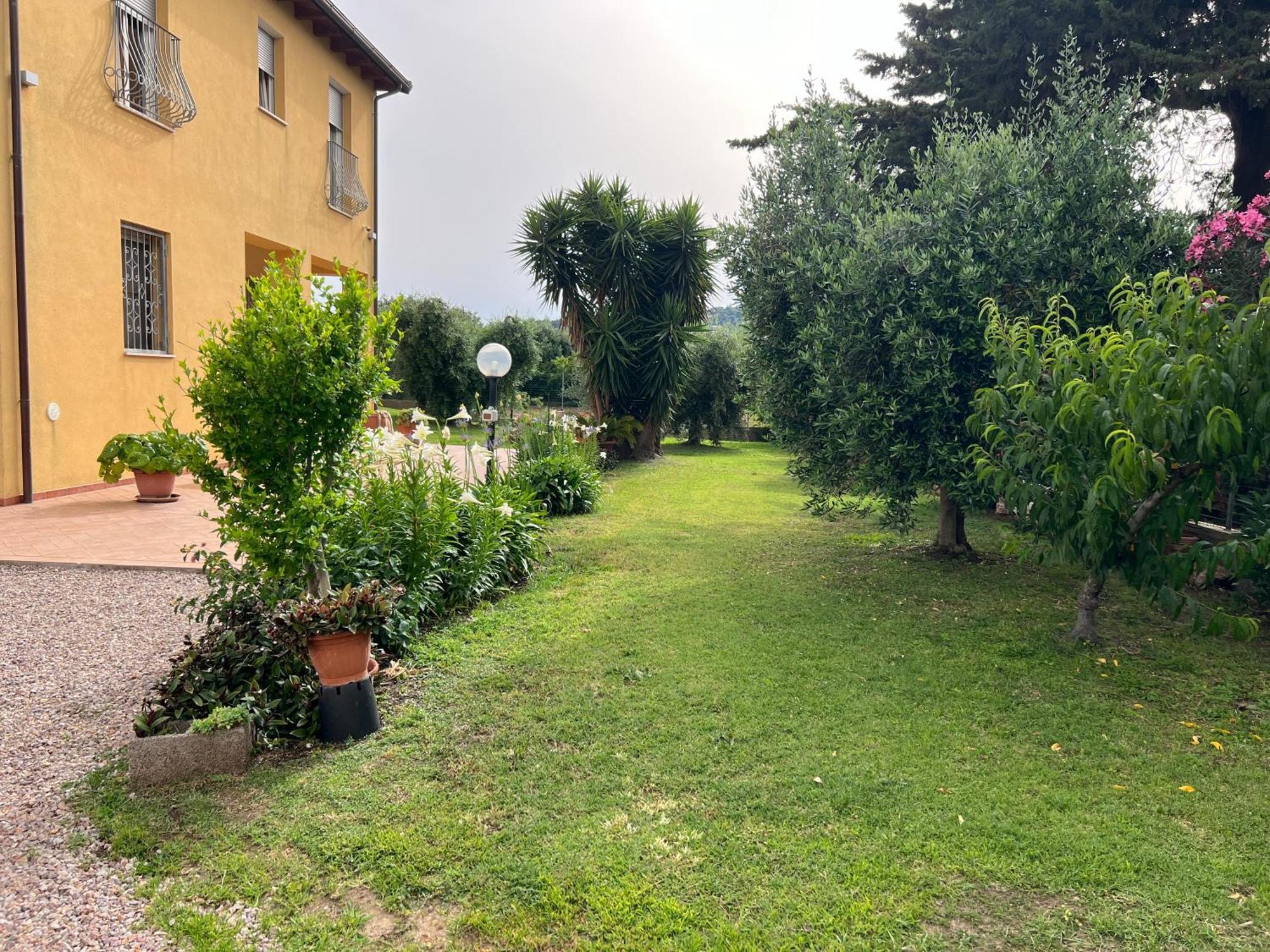 Agriturismo Il Giardino Degli Olivi Appartamenti Castiglione della Pescaia Extérieur photo
