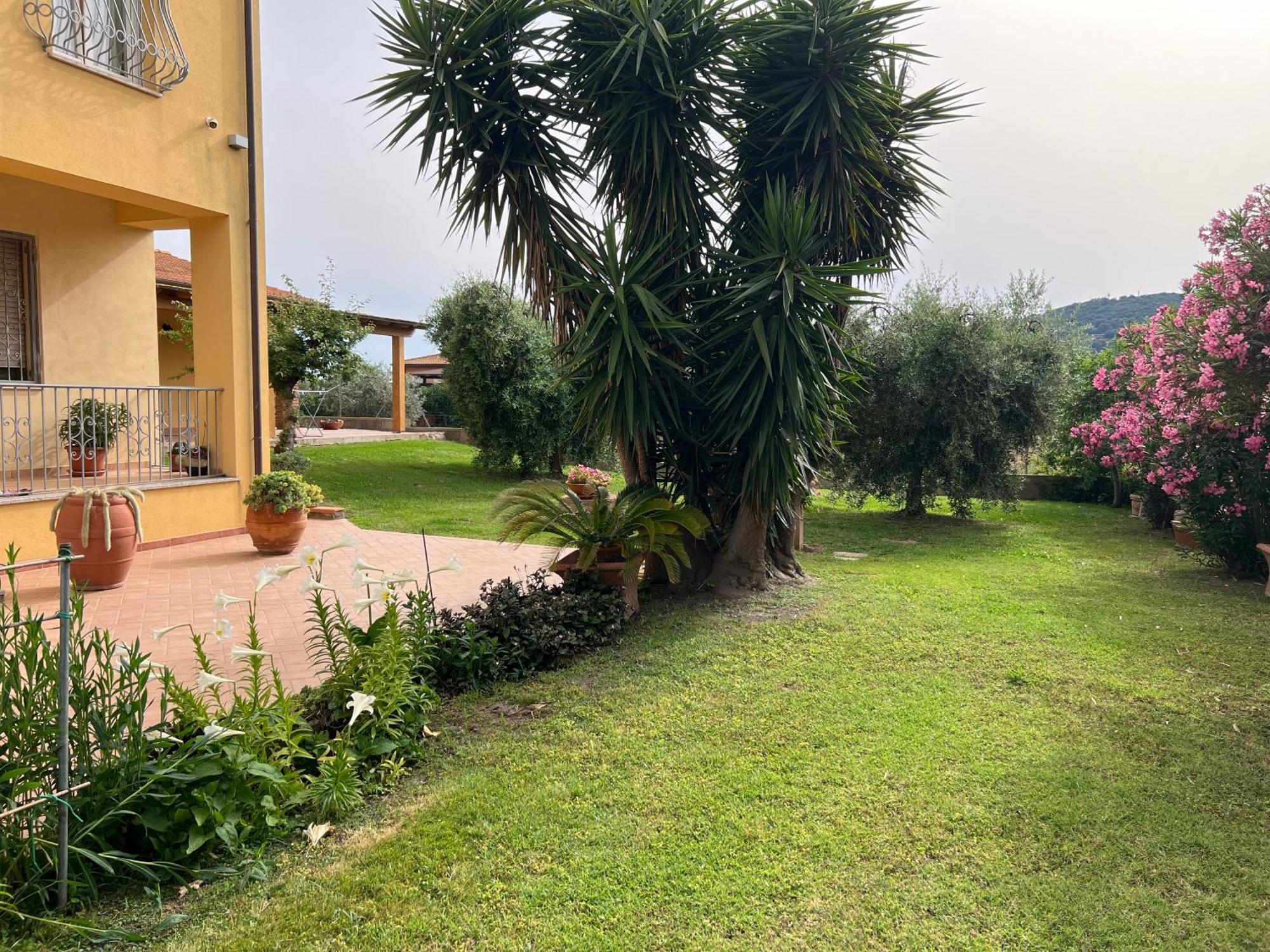 Agriturismo Il Giardino Degli Olivi Appartamenti Castiglione della Pescaia Extérieur photo